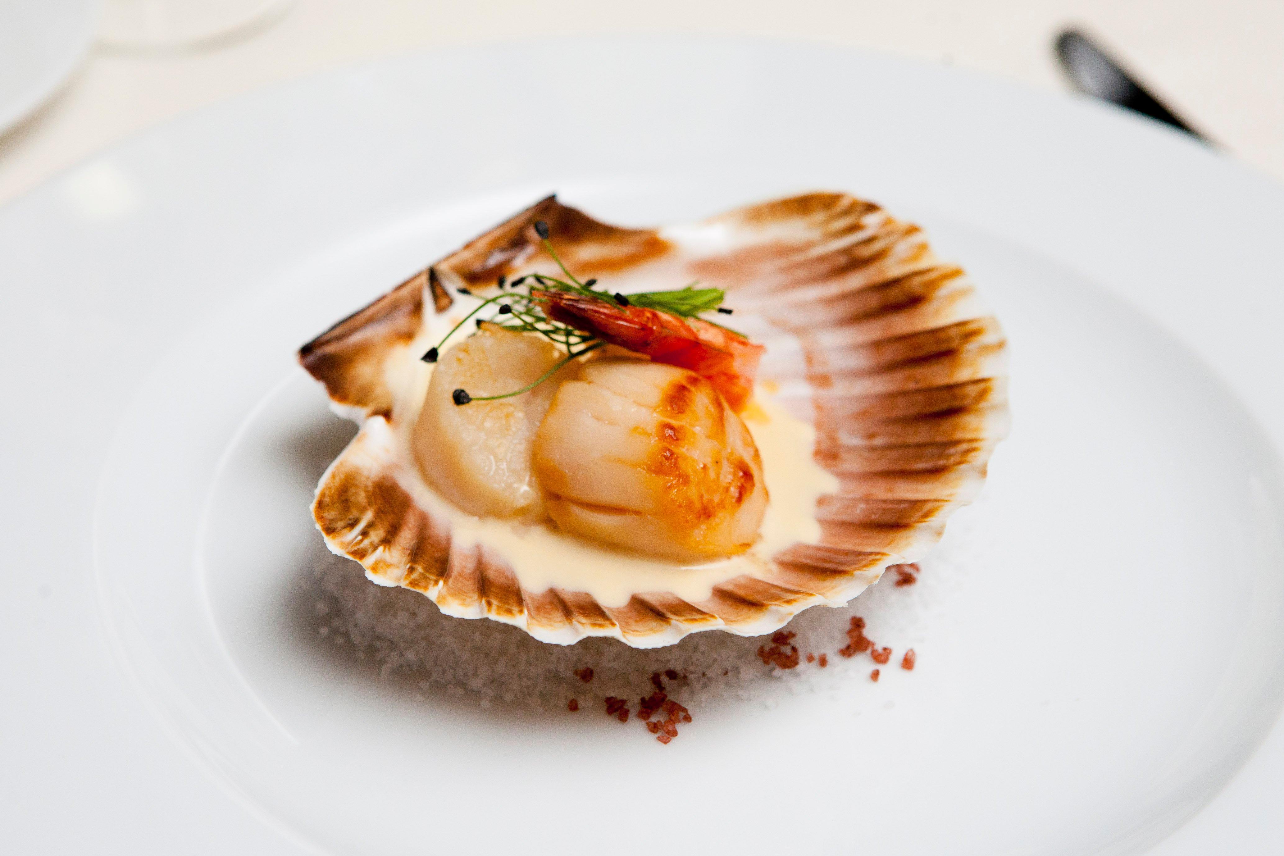 Park Plaza Hotel, Restaurant & Terrace, Panorama Bar, Conference & Banquet Center 4*